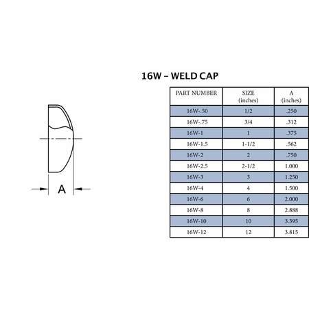 Steel & Obrien 2" Butt Weld Domed Cap - 3/4" Long 316SS 16W-2-5-316